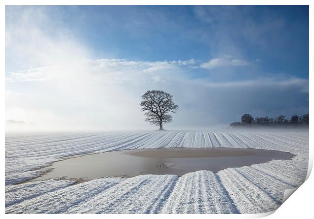 Winters Solitude Print by Rick Bowden