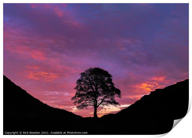 Majestic Sunrise at Sycamore Gap Print by Rick Bowden