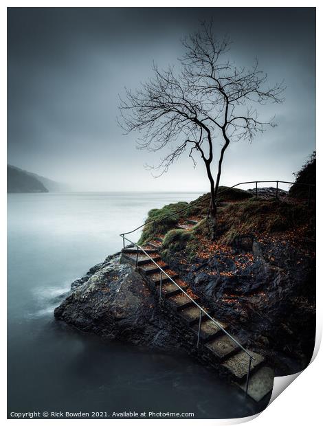 The Peaceful Isolation of Babbacombe Tree Print by Rick Bowden