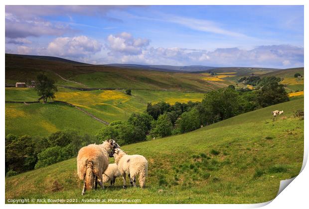 Swaledale Yorkshire Dales Print by Rick Bowden