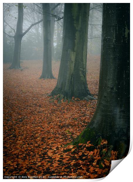 Forest Floor Norwich Norfolk Print by Rick Bowden