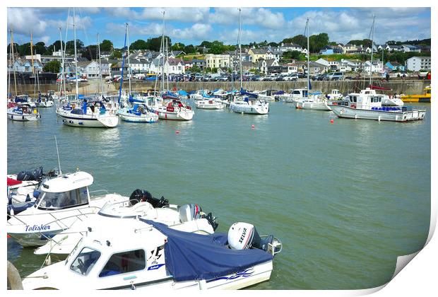 Saundersfoot Harbour Print by Jonathan Evans