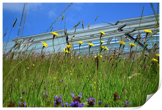 National Botanical Centre, Wales  Print by Jonathan Evans