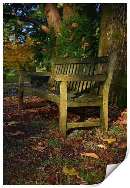 Wooden bench in autumn with maple trees  Print by Jonathan Evans