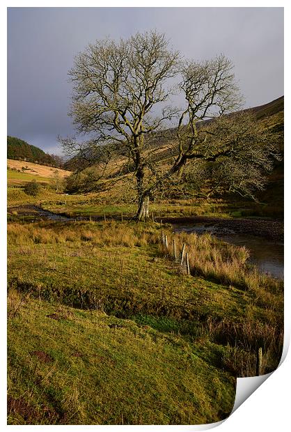Brecon Beacons in some winter sunshine Print by Jonathan Evans