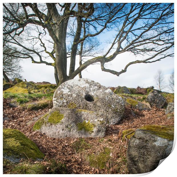 padley gorge Print by Jason Thompson