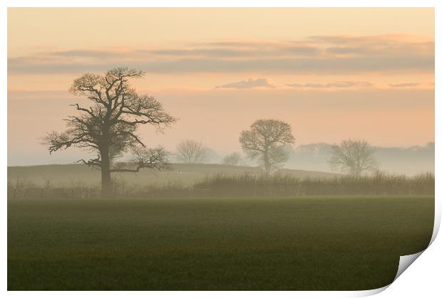 morning mist Print by Jason Thompson