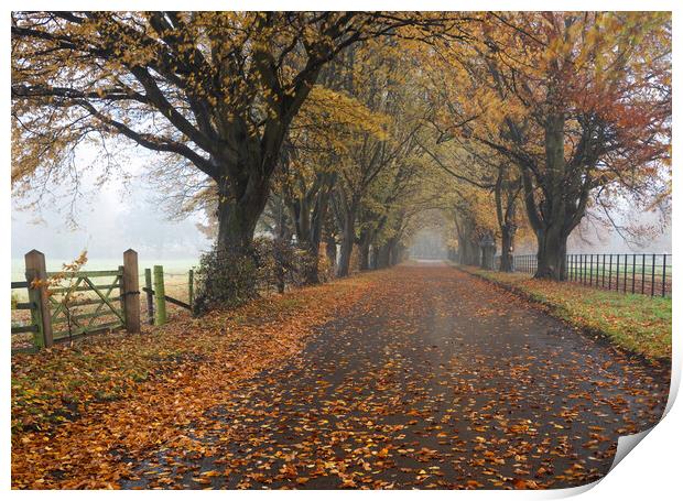 Autumn road Print by Jason Thompson