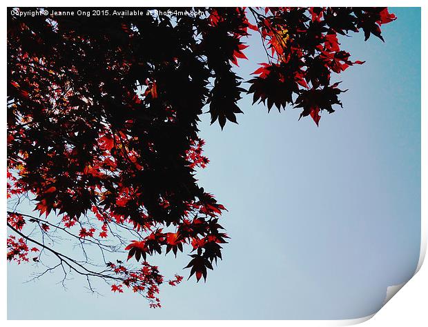 Autumn Leaves in Sunshine Print by Jeanne Ong