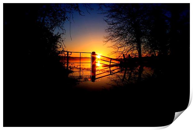  Sunrise thru the flooded gate Print by Ross Lawford