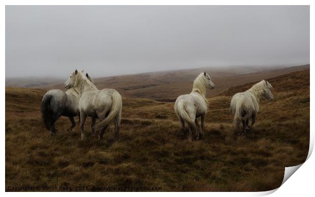 Wild horses in Brecon Beacons National Park  Print by Simon Rees