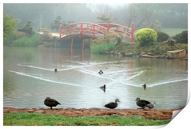 Japanese garden Print by Peter Righteous