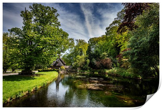 Duck Pond Print by Alan Sinclair