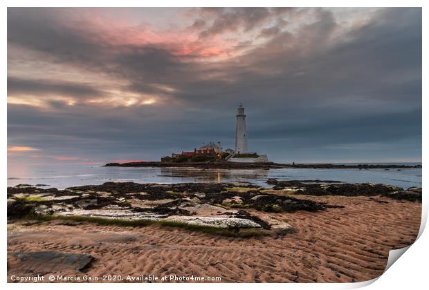 St Mary's lighthouse at sunrise Print by Marcia Reay