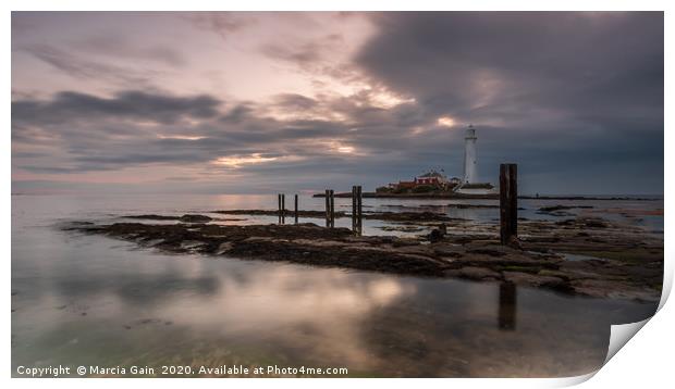 Sunrise at St Mary's lighthouse Print by Marcia Reay