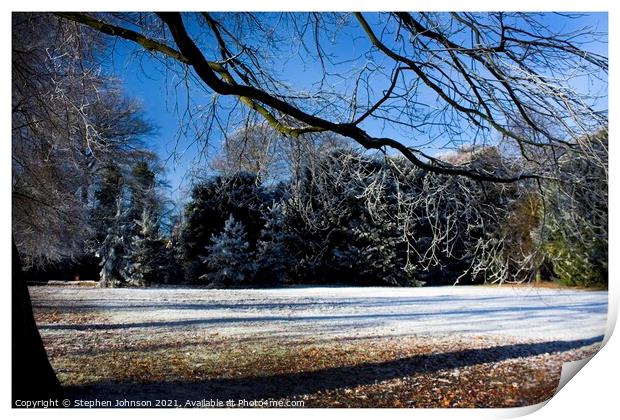 Snow on the ground Print by Stephen Johnson