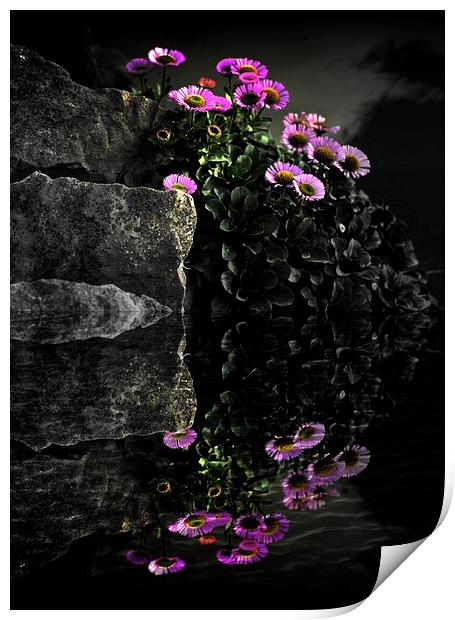  Flower and Rocks Print by Christian Corbett