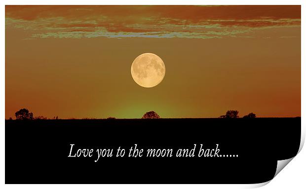 Love You To The Moon And Back  Print by Ros Ambrose