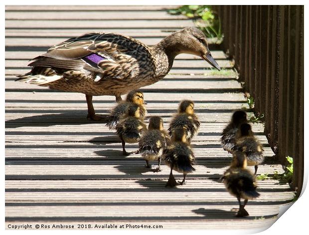 Looking For Dad Print by Ros Ambrose