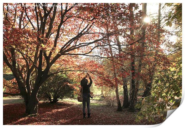  Take two, capturing the perfect autumn moment Print by James Tully