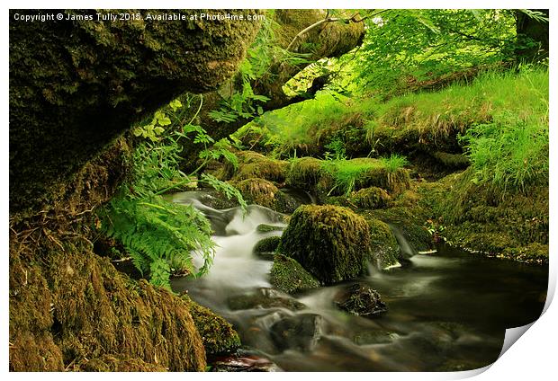  Exmoor stream Print by James Tully