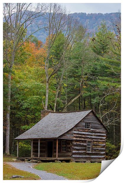  Cabin in the Woods Print by Timothy Bell