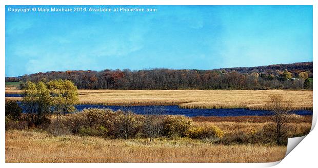 The Marsh Print by Mary Machare