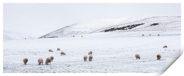  Winter in The Pentlands Print by Alan Whyte