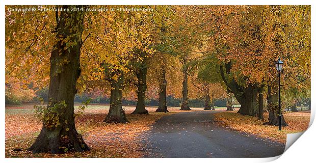 Autumn Colours Print by Peter Yardley
