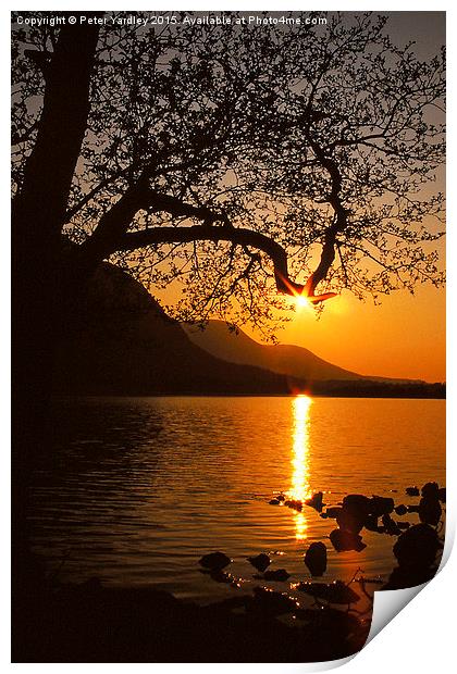  Sunset Silhouette Print by Peter Yardley