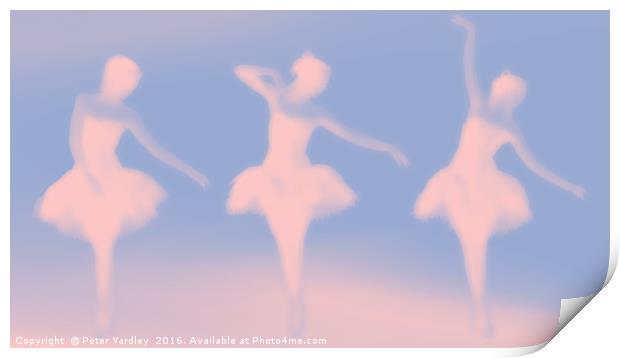 The Ballerina (in duotone) Print by Peter Yardley
