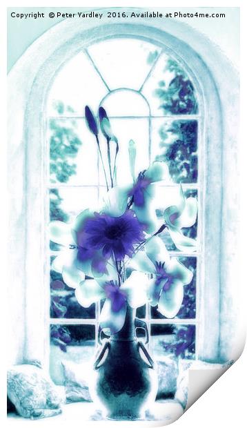 Flowers in Vase at Window #3 Print by Peter Yardley