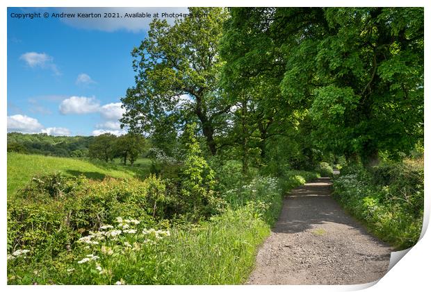 English country lane in early summer Print by Andrew Kearton