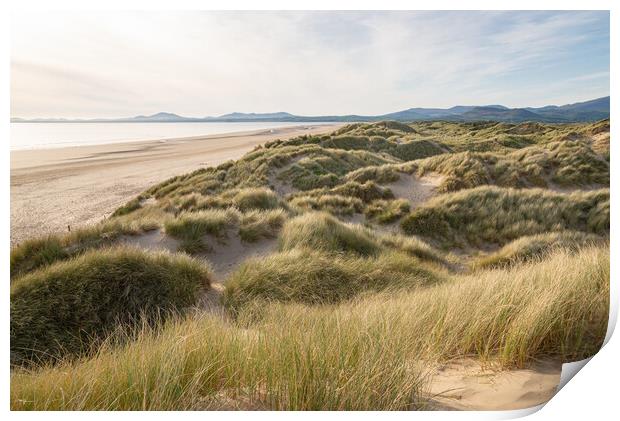Harlech beach and dunes at sunset Print by Andrew Kearton