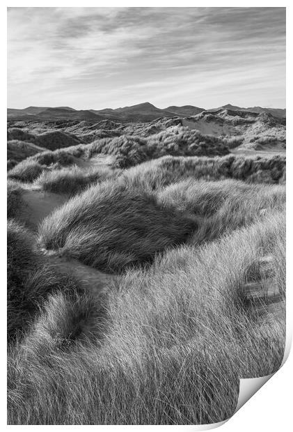 Harlech Dunes, North Wales Print by Andrew Kearton