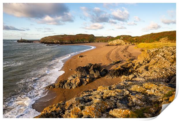 Dawn on Llanddwyn Island, Anglesley, North Wales Print by Andrew Kearton