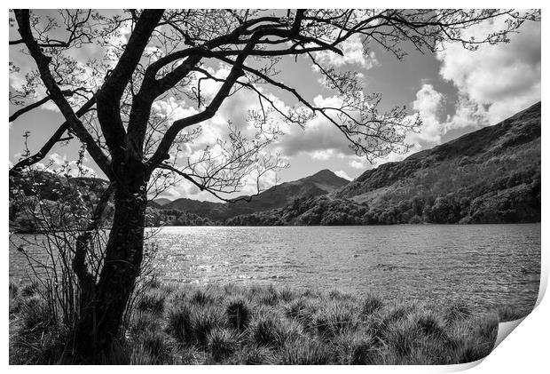 Llyn Gwynant, Snowdonia national park, Wales Print by Andrew Kearton
