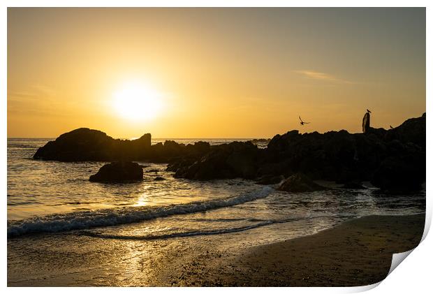 A golden sunset on Anglesey Print by Andrew Kearton