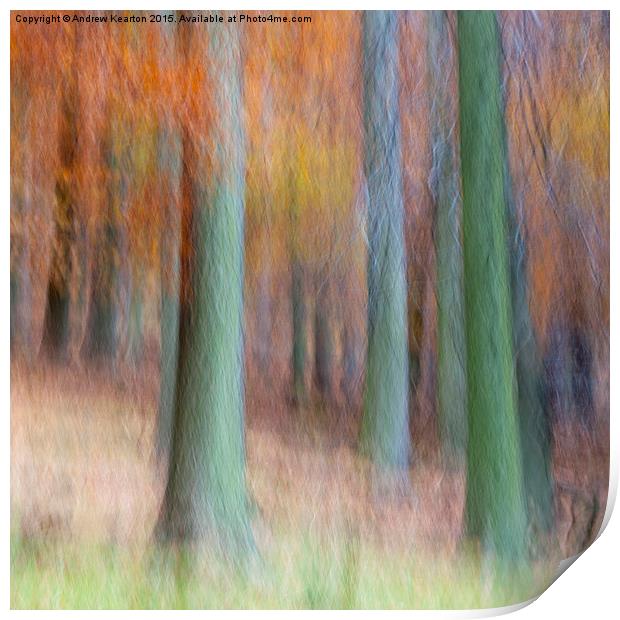  Autumn forest abstract Print by Andrew Kearton