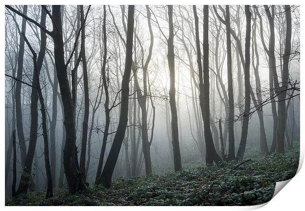  Silence of a winter morning Print by Andrew Kearton