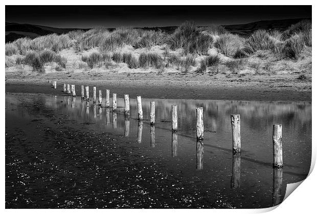  Posts and dunes at Borth beach, Wales Print by Andrew Kearton