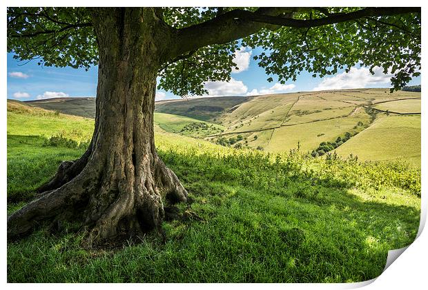  In the shade on a sunny day in the High Peak Print by Andrew Kearton