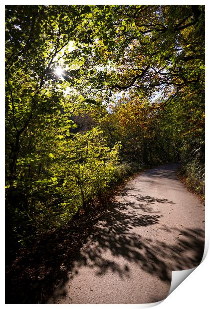  Shadows on the path Print by Andrew Kearton