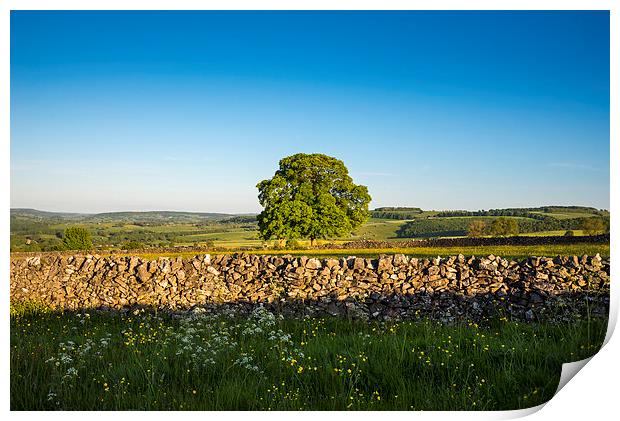 Peak District countryside in summer Print by Andrew Kearton