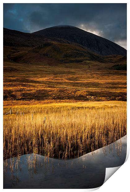  Golden reeds, Loch Cill Chriosd, Skye Print by Andrew Kearton