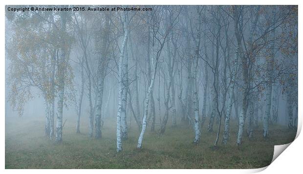  Autumn mist in Silver Birch woods Print by Andrew Kearton