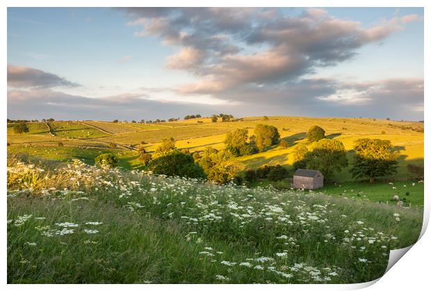 Summer countryside Print by Andrew Kearton