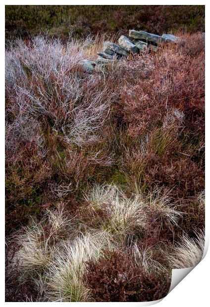 Textures in a moorland landscape Print by Andrew Kearton