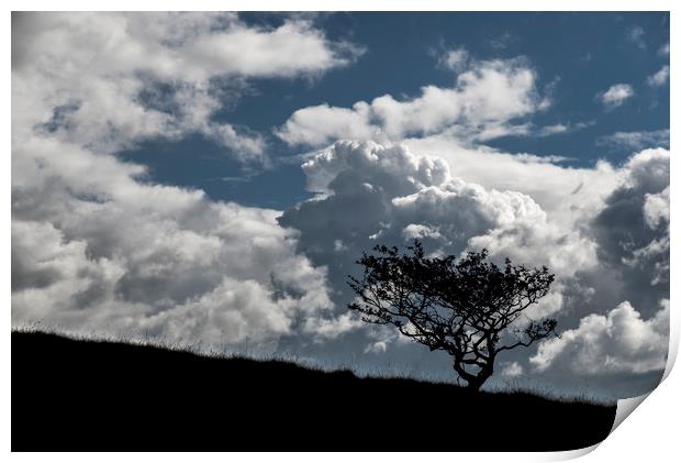 Lone tree and big clouds Print by Andrew Kearton