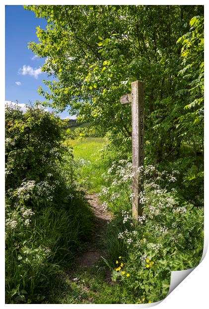 Footpath sign in summer Print by Andrew Kearton